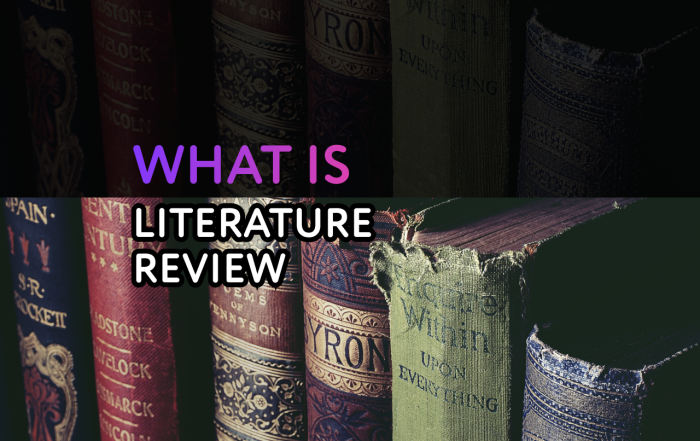 literature review definition