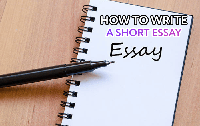 Short Essay Writing Guide