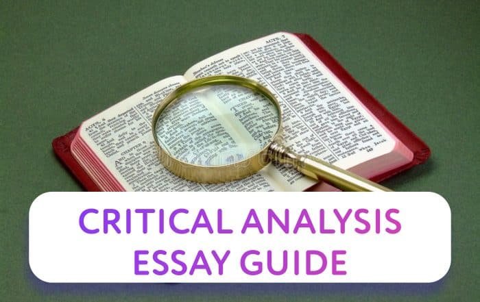 Critical Analysis Essay Guide